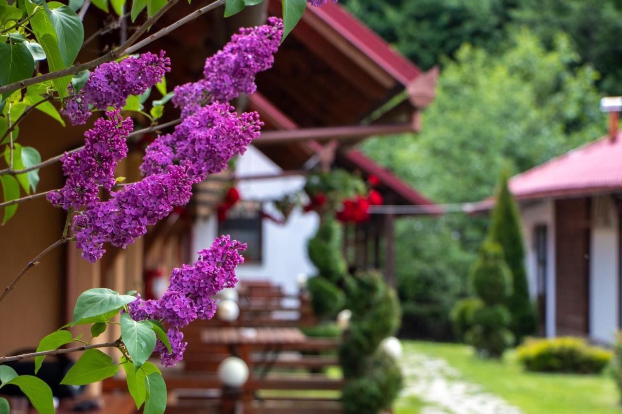 Patakmenti Panzio Spa Корунд Екстериор снимка